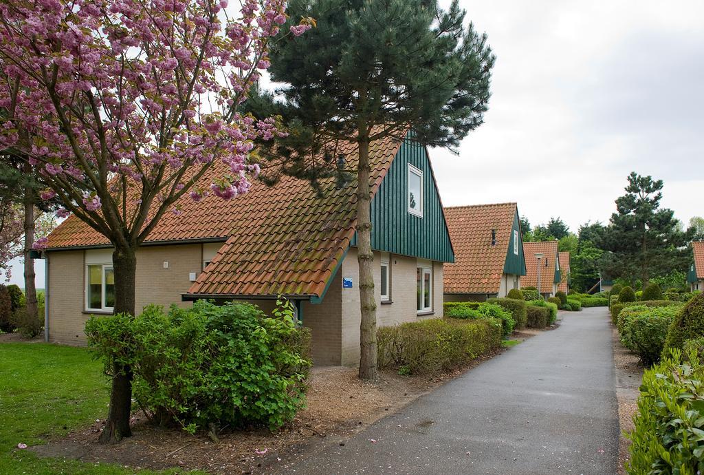 Hotel Kustpark Klein Poelland Renesse Pokoj fotografie